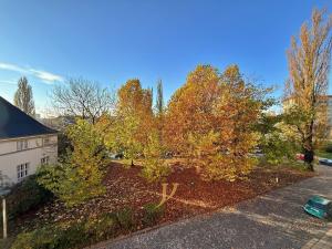 Pronájem bytu 2+1, Přerov - Přerov I-Město, Velké Novosady, 52 m2