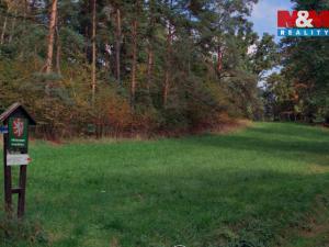 Prodej lesa, Petrovice - Žemličkova Lhota, 3719 m2