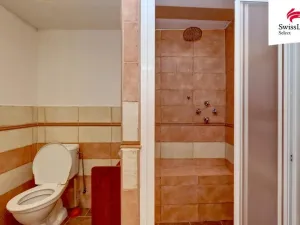 Prodej rodinného domu, Tršice, 225 m2