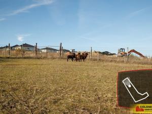 Prodej - jiné, Nový Šaldorf-Sedlešovice - Nový Šaldorf, 145 m2