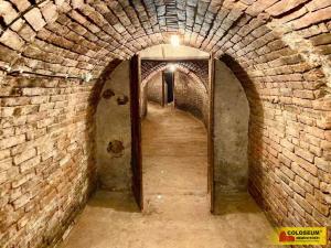 Prodej - jiné, Nový Šaldorf-Sedlešovice - Nový Šaldorf, 145 m2