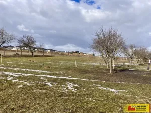 Prodej - jiné, Nový Šaldorf-Sedlešovice - Nový Šaldorf, 145 m2