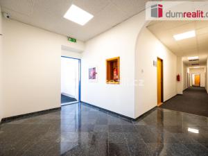 Pronájem kanceláře, České Budějovice - České Budějovice 6, Novohradská, 25 m2