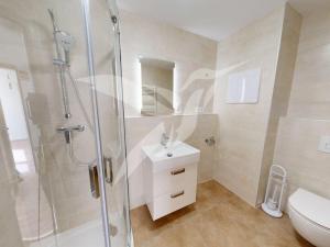 Pronájem bytu 2+kk, Plzeň, Nad Dvorem, 52 m2