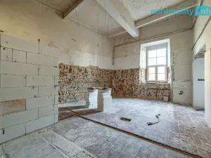 Prodej atypického bytu, Cheb, Cechovní, 168 m2