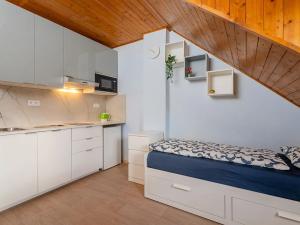 Prodej bytu 1+kk, Praha - Krč, Čerčanská, 19 m2