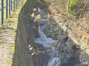 Prodej chaty, Petrovice, 43 m2