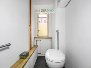 Prodej vícegeneračního domu, Plzeň - Jižní Předměstí, Kotkova, 330 m2