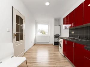 Prodej bytu 1+1, Ostrava, Newtonova, 45 m2