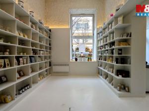 Pronájem obchodního prostoru, Praha, Italská, 47 m2