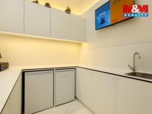 Pronájem obchodního prostoru, Praha, Italská, 47 m2