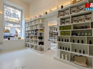 Pronájem obchodního prostoru, Praha, Italská, 47 m2