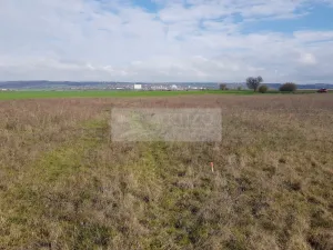 Prodej pozemku pro bydlení, Kosořice, 806 m2