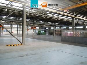 Pronájem skladu, Červený Kostelec, 5000 m2