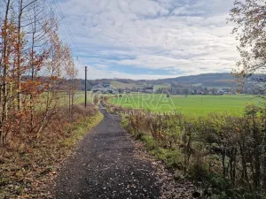 Prodej rodinného domu, Lobendava, 263 m2