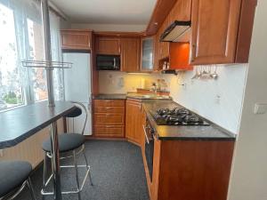 Pronájem bytu 3+1, Chomutov, Borová, 60 m2