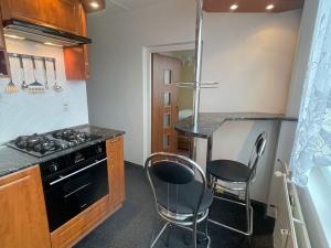 Pronájem bytu 3+1, Chomutov, Borová, 60 m2