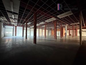 Pronájem výrobních prostor, Dolní Rychnov, Bergmannova, 5000 m2