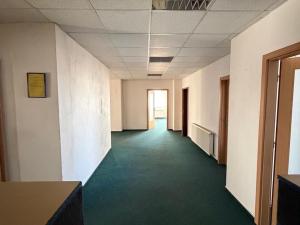 Pronájem výrobních prostor, Dolní Rychnov, Bergmannova, 5000 m2