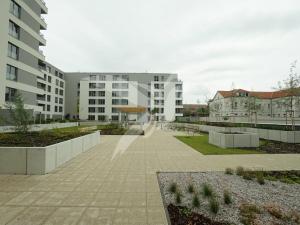 Pronájem bytu 1+kk, Plzeň, Nemocniční, 29 m2