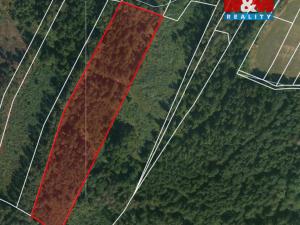 Prodej lesa, Libín - Slavošovice, 32765 m2