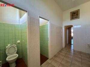 Pronájem restaurace, Dolní Hbity, 297 m2