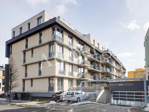 Pronájem bytu 2+kk, Praha - Žižkov, Olgy Havlové, 54 m2