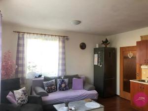 Pronájem bytu 1+kk, Olomouc, Voskovcova, 31 m2