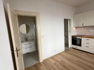 Pronájem bytu 2+kk, Brno - Veveří, Sušilova, 59 m2