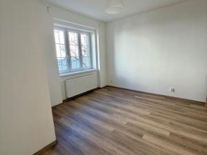 Pronájem bytu 2+kk, Brno - Veveří, Sušilova, 59 m2