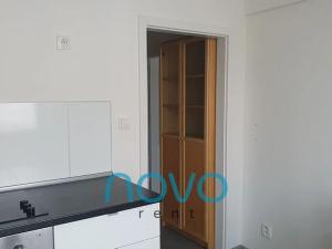 Pronájem bytu 1+1, Praha - Nusle, U družstva Repo, 38 m2