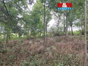 Prodej pole, Bystřice, 163 m2