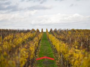 Prodej apartmánu, Strachotín, Šakvická, 46 m2