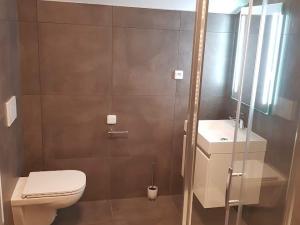 Pronájem ubytování, Liberec - Liberec III-Jeřáb, Nákladní, 250 m2