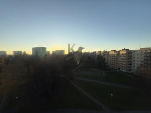 Pronájem bytu 2+1, Ostrava, Oty Synka, 55 m2