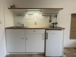 Pronájem bytu 1+kk, Znojmo, Velká Mikulášská, 31 m2