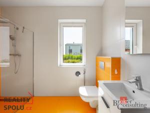 Prodej rodinného domu, Brandýsek, Nad Vodojemem, 392 m2