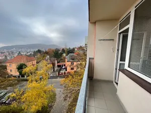 Prodej bytu 3+1, Ústí nad Labem, Stará, 66 m2