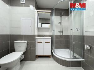 Pronájem bytu 1+1, Ostrov, Lidická, 35 m2