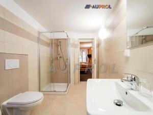 Prodej ubytování, Český Krumlov - Vnitřní Město, Široká, 400 m2