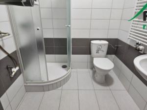 Pronájem bytu 1+kk, Tachov, Rokycanova, 33 m2