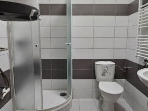 Pronájem bytu 1+kk, Tachov, Rokycanova, 33 m2