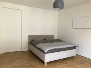 Pronájem bytu 2+kk, Praha - Žižkov, Viklefova, 46 m2