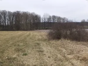 Dražba louky, Dříteň, 1815 m2