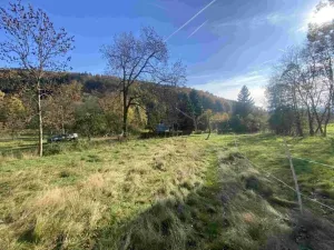 Dražba louky, Zdislava, 1384 m2