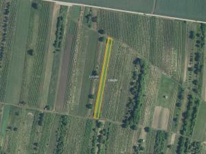 Prodej pole, Brumovice, 5714 m2