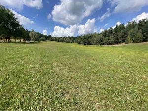 Prodej pozemku, Český Rudolec - Radíkov, 938 m2