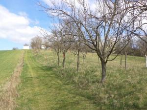 Prodej pozemku, Hluk, 984 m2