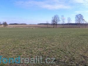 Prodej pole, Stříbřec, 10919 m2