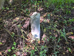 Prodej pozemku pro bydlení, Jedlá, 2598 m2